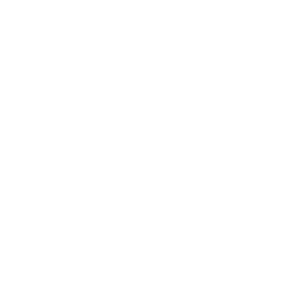 FLASH-MOTION