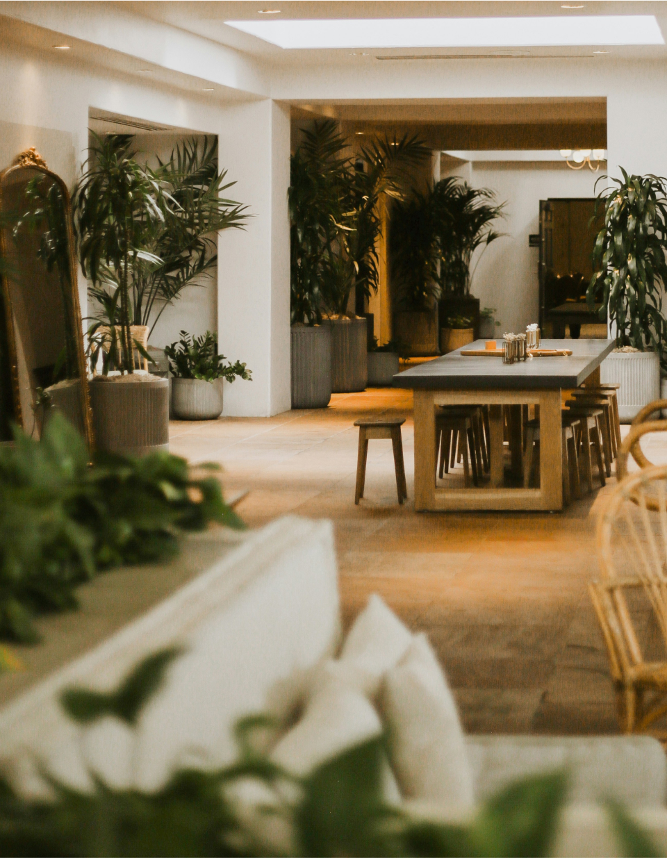 HOTEL BONITO – 16aa